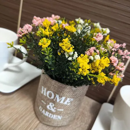 Delfinului Retreat Case de vacanță *