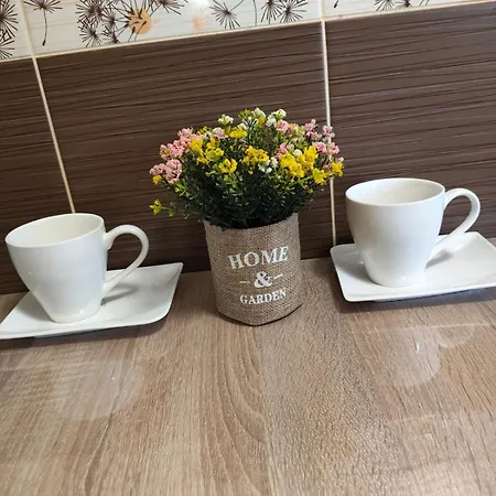 Delfinului Retreat Ovidiu