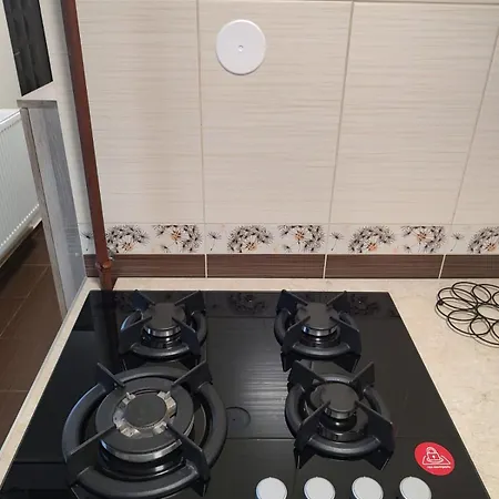 Delfinului Retreat *